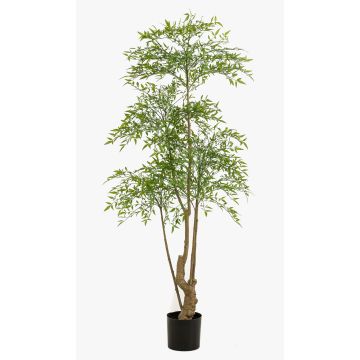 Ruscus finto KALED, tronco artificiale, verde, 180cm Ruscus finto KALED, tronco artificiale, verde, 180cm