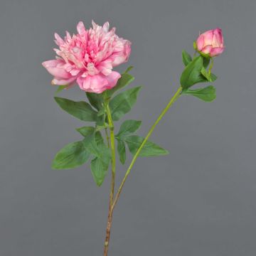 Peonia finta BADIS, rosa, 75cm