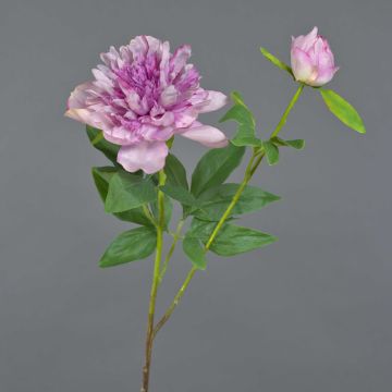Peonia artificiale BADIS, viola, 75cm
