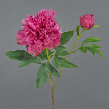 Peonia artificiale BADIS, rosa, 75cm