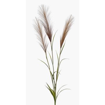 Ramo di erba della pampa artificiale ADNANE con pannocchie, marrone, 90cm Ramo di erba della pampa artificiale ADNANE con pannocchie, marrone, 90cm