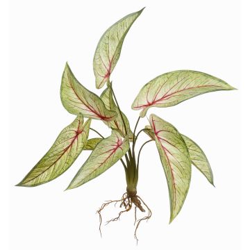 Calathea Ornata artificiale ASAGI, stelo, radici, verde-rosso, 40cm