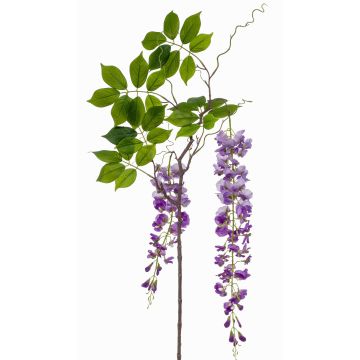 Ramo di glicine artificiale NISSRINE con fiori, viola, 145cm Ramo di glicine artificiale NISSRINE con fiori, viola, 145cm