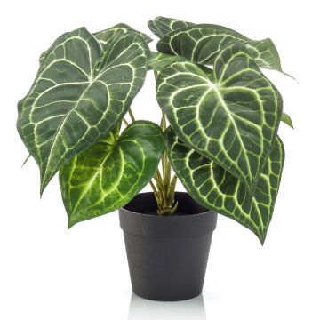 Anturio artificiale TESHI, verde-crema, 25cm
