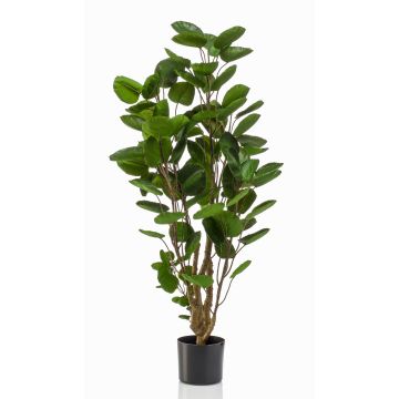 Polyscias artificiale FAUZIA, tronco artificiale, 105cm