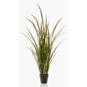 Erba finta coda di volpe ANOUR con pannocchie, verde-marrone, 115cm Erba finta coda di volpe ANOUR con pannocchie, verde-marrone, 115cm