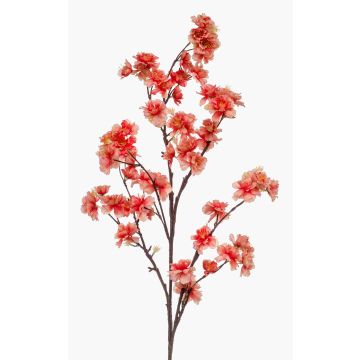 Ramo decorativo di fiori di ciliegio GIMA con fiori, corallo, 120cm