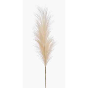 Pannocchia di erba della pampa artificiale AMATSIA, crema, 115cm