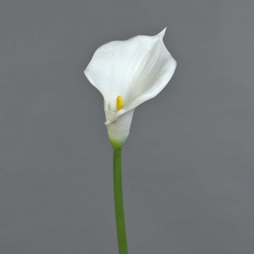 Calla finta DAISCHI, bianco, 70cm