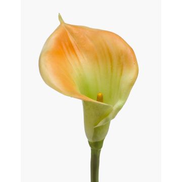 Calla finta DAISCHI, giallo-verde, 70cm