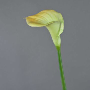 Calla finta DAISCHI, giallo-verde, 70cm