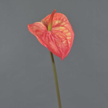 Anthurium artificiale YUSEI, arancione, 65cm