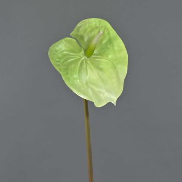 Anthurium artificiale YUSEI, verde-crema, 65cm