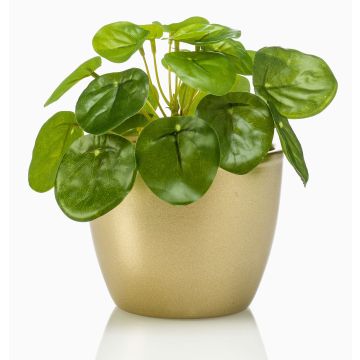 Pilea peperomioides artificiale SYBIL in vaso di ceramica dorato, verde, 13cm