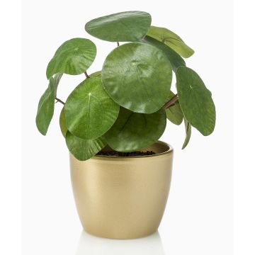 Pilea peperomioides artificiale SYBIL in vaso di ceramica dorato, verde, 20cm
