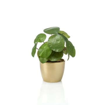 Pilea peperomioides artificiale SYBIL in vaso di ceramica dorato, verde, 20cm