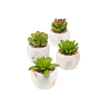 Succulente decorative LOYE in vaso di marmo, 4 pezzi, verde, 13-15cm