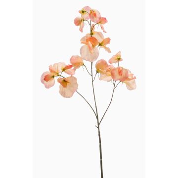 Lathyrus artificiale KANZI, pesca, 75cm
