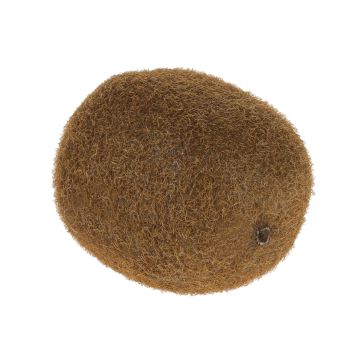 Kiwi di plastica SURATA, marrone, 6cm Kiwi di plastica SURATA, marrone, 6cm