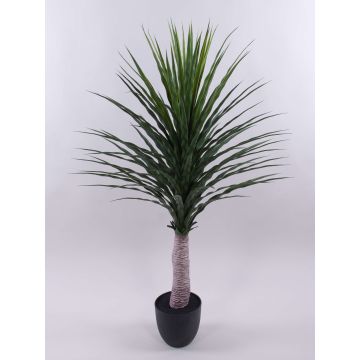 Yucca artificiale DENDES in vaso decorativo, 120cm