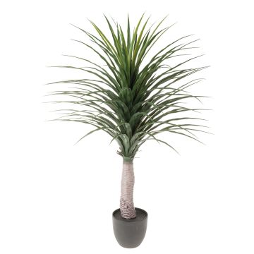 Yucca artificiale DENDES in vaso decorativo, 120cm