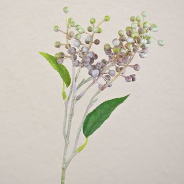 Ramo artificiale di sambuco TEITH con frutti, marrone-verde, 40cm