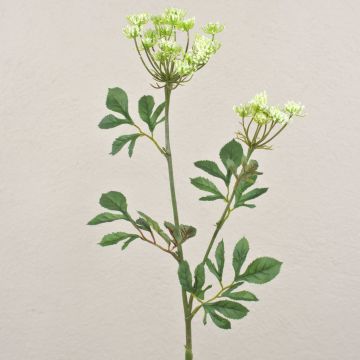 Achillea di plastica GOURAV, bianco-crema, 75cm