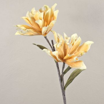 Camelia di plastica MUNIR, giallo-bianco, 120cm