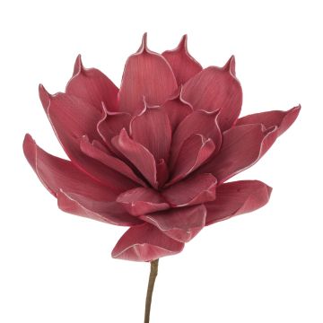 Aloe Vera artificiale LIERA, rosso porpora, 30cm
