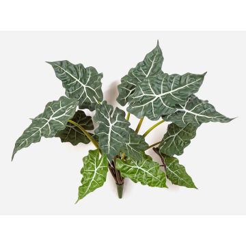 Alocasia Sanderiana artificiale ORLANDA, verde-bianco, 60cm