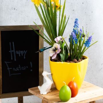 Pasqua Pasqua
