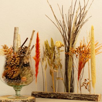 Sogno naturale di fine estate