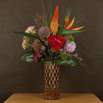 Bellezza esotica Bellezza esotica