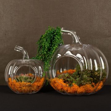 Non rompere quella zucca Non rompere quella zucca