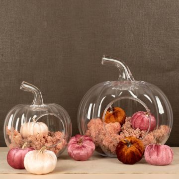Abbracciami zucca Abbracciami zucca