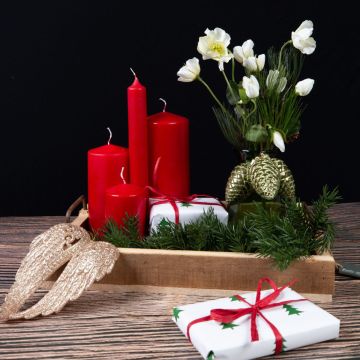 Avvento Celeste Parte 4 