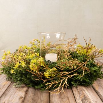 Avvento Celeste Parte 3