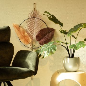 Giungla in salotto Giungla in salotto