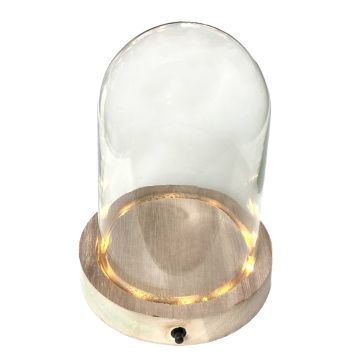 Cupola di vetro BENIGNA con LEDs, base in legno, trasparente, 11cm, Ø10cm Cupola di vetro BENIGNA con LEDs, base in legno, trasparente, 11cm, Ø10cm