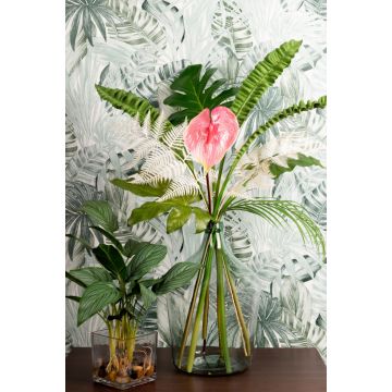 Stelle della giungla Stelle della giungla