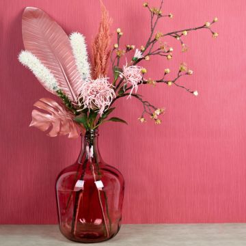 Eleganza ruborizata Eleganza ruborizata