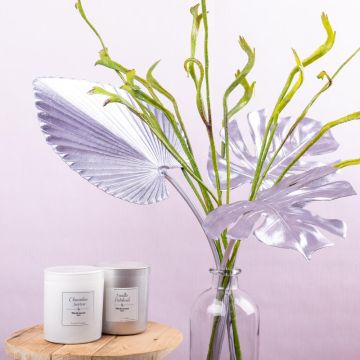 Spa esotica