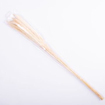 Erba secca di erba della Pampa MARCELLA, sbiancata, 75cm