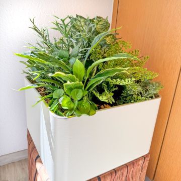 Composizione floreale Welcome in Green - Richiesta del cliente Jörg