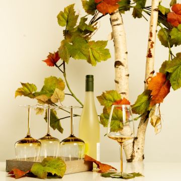 Una bella serata estiva con vino Una bella serata estiva con vino