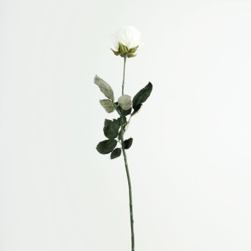 Rosa artificiale FREIDA, Eco Collection, bianco-lilla, 65 cm, Ø 7 cm