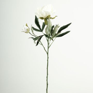 Ramo di fiori artificiali peonia GALENE, Eco Collection, bianco-lilla, 65 cm, Ø 10 cm