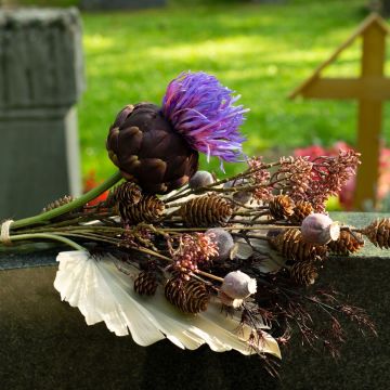 Ognissanti - Per sempre nel cuore Ognissanti - Per sempre nel cuore