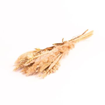 Bouquet secco DILIANE, bianco-natura, 50cm, Ø15cm