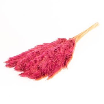 Mazzo di canne essiccate DONJETA, viola, 70-80cm, Ø15cm Mazzo di canne essiccate DONJETA, viola, 70-80cm, Ø15cm